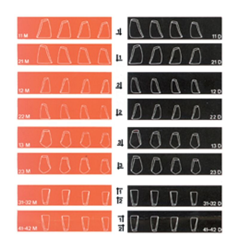 MATRICES COFORM
