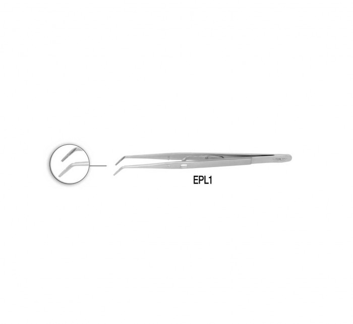PRÉCELLE ENDODONTIQUE PRÉCELLE ENDODONTIQUE