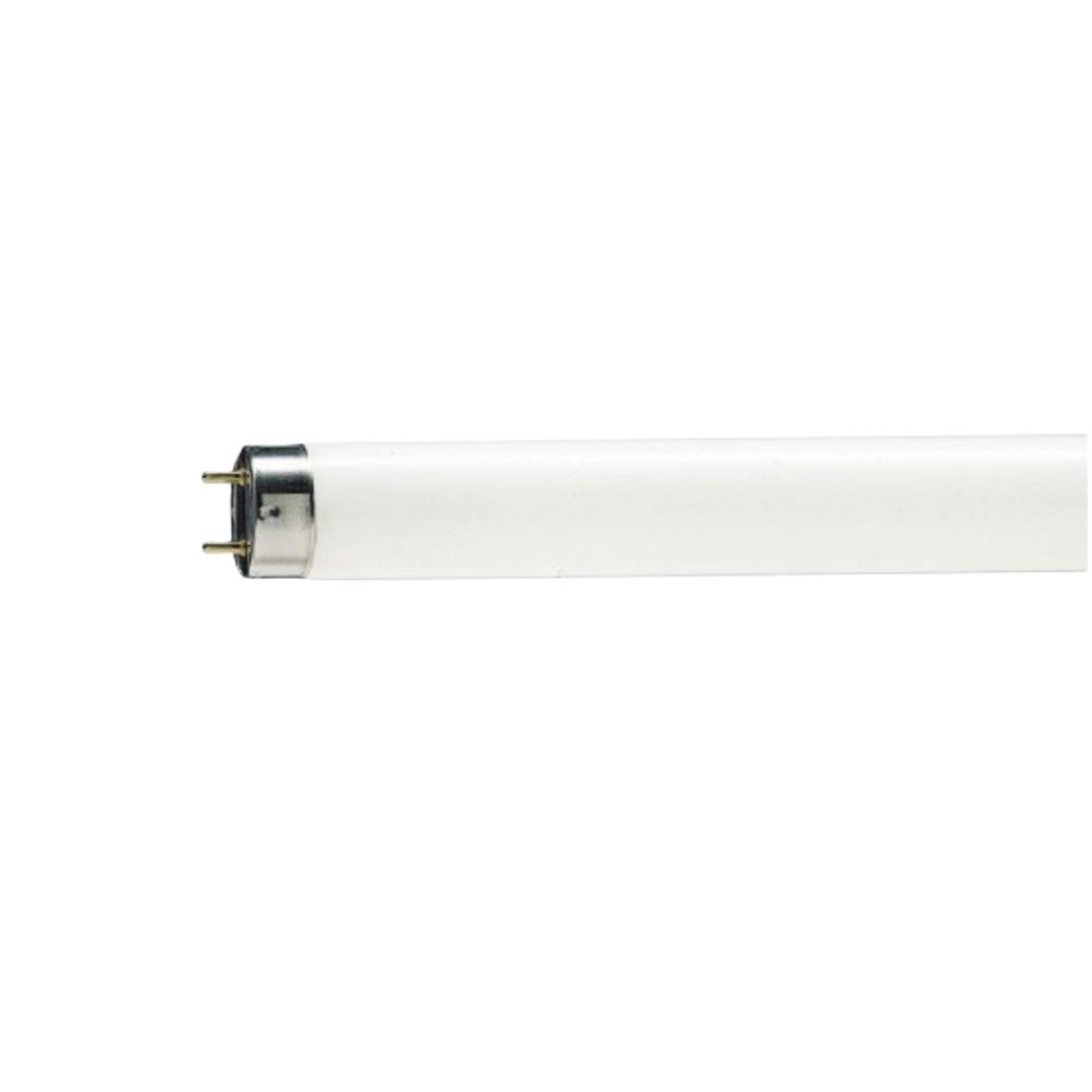 TUBE NEON 8W POUR NEGATOSCOPE HI LITE      VELOPEX