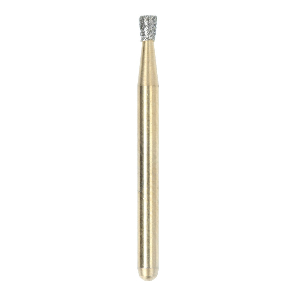 FRAISE LION AUFG001 014-5                HORICO