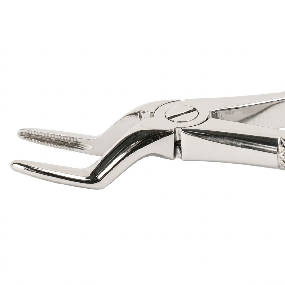 Davier profil retentif Lady W0160-51A   