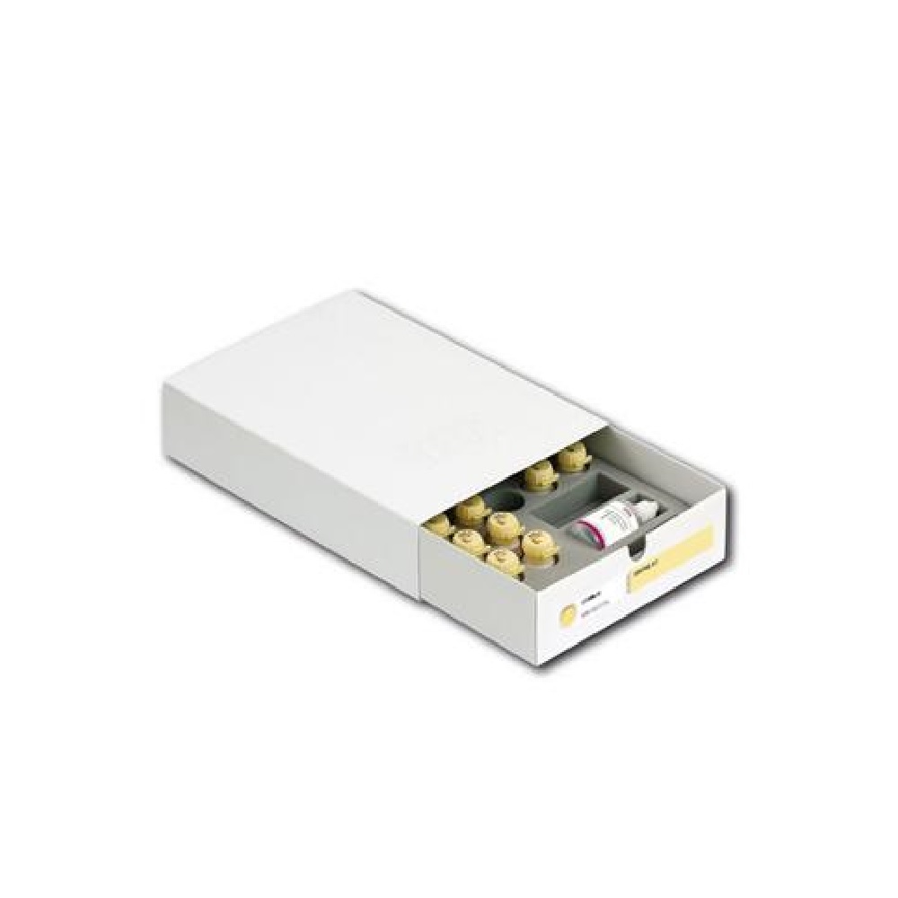 VM11 DENTINE KIT                              VITA