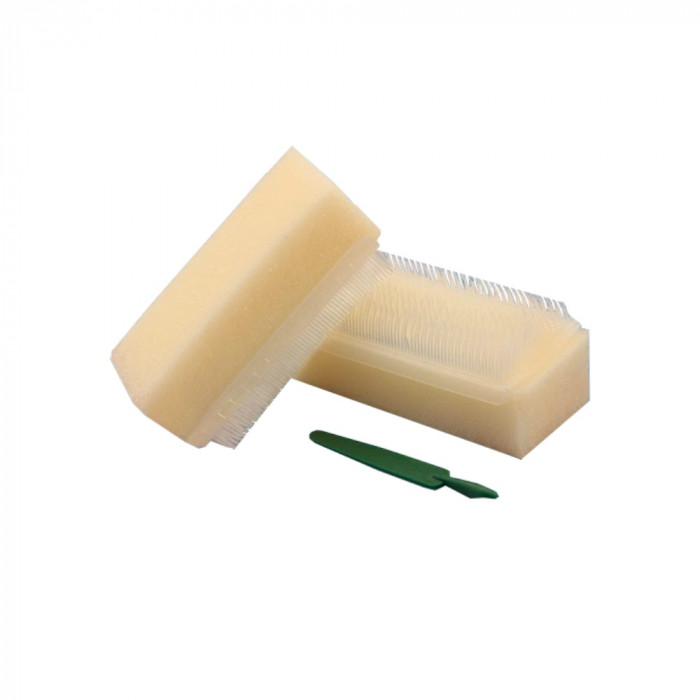 Brosse chirurgicale Tecnoscrub avec chlorhexidine (24) Brosse chirurgicale Tecnoscrub avec chlorhexidine (24)