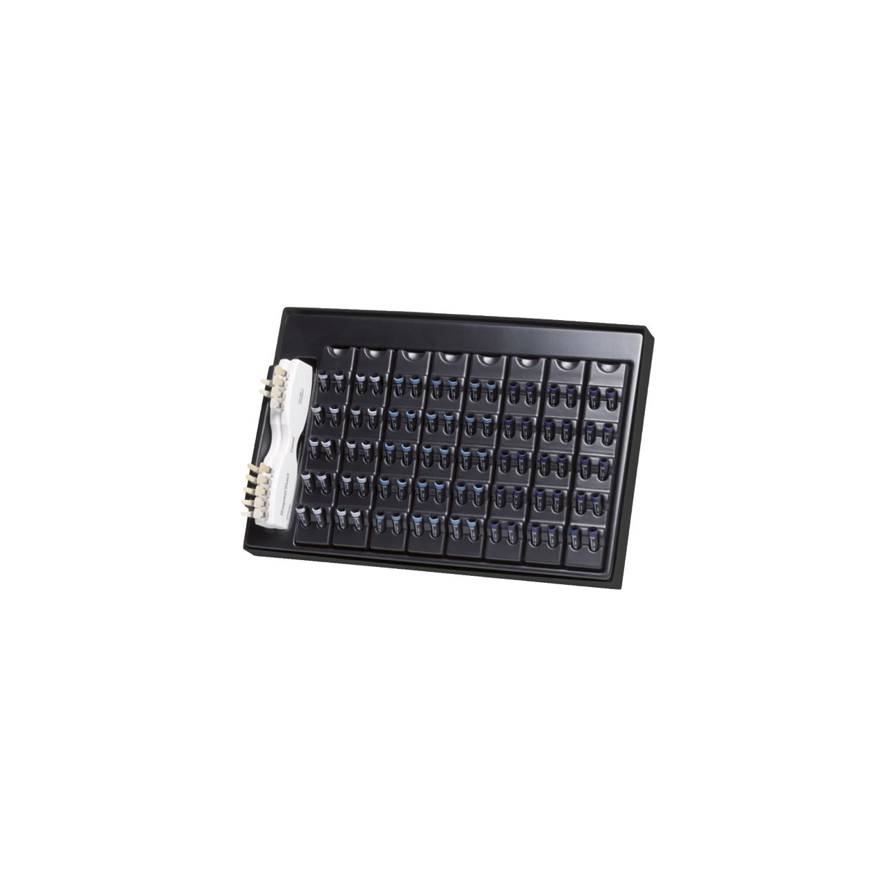 EMPRESS DIRECT TEINTIER - VIVADENT