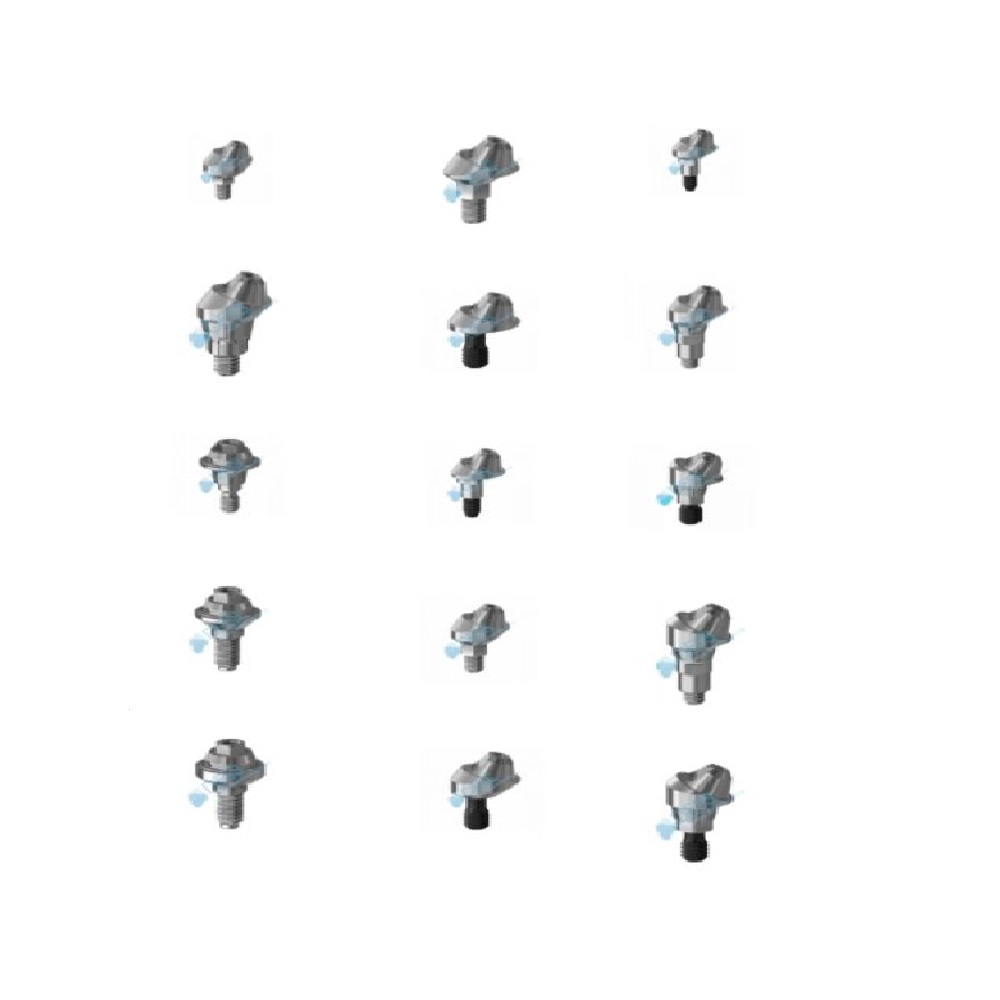 Piliers Multi Unit (DESS)