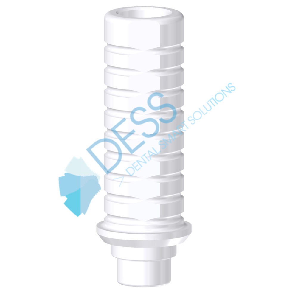Pilier Calcinable Rotation RP + Vis 
