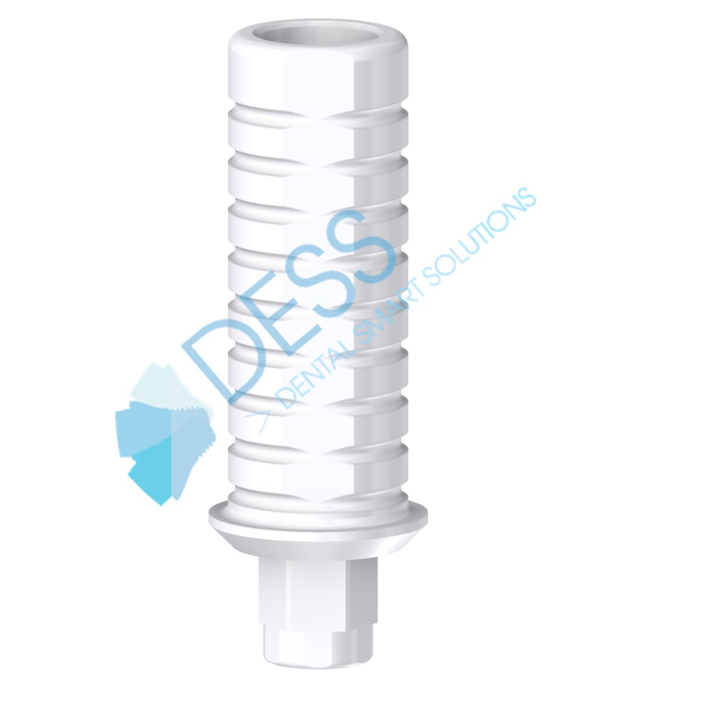 Pilier Calcinable Anti Rotation.RP + Vis