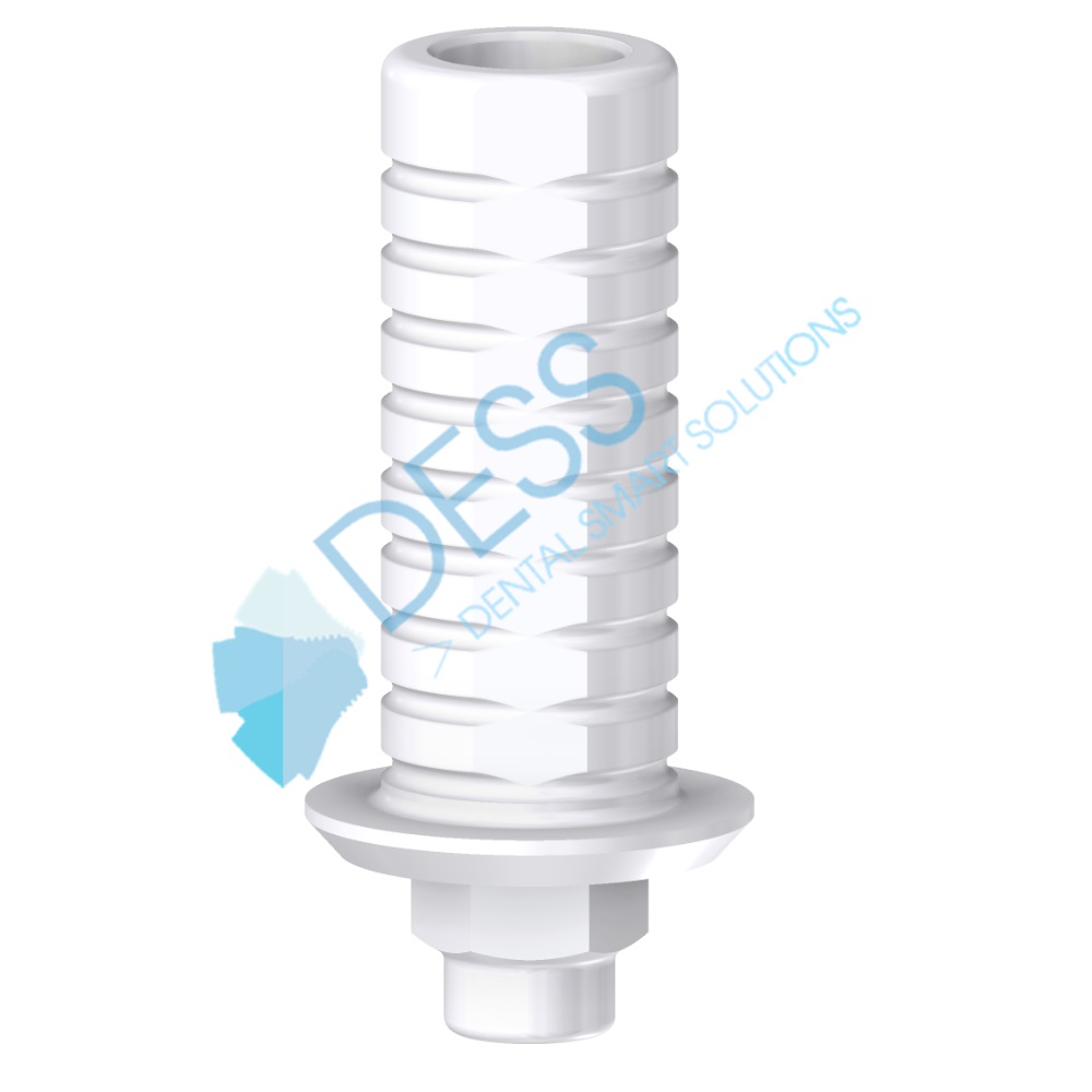 Pilier Calcinable Anti Rotation WP + Vis 