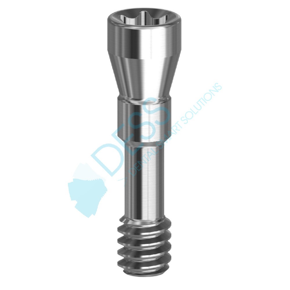 VIS TORX RP                   19 033-P10 DESS