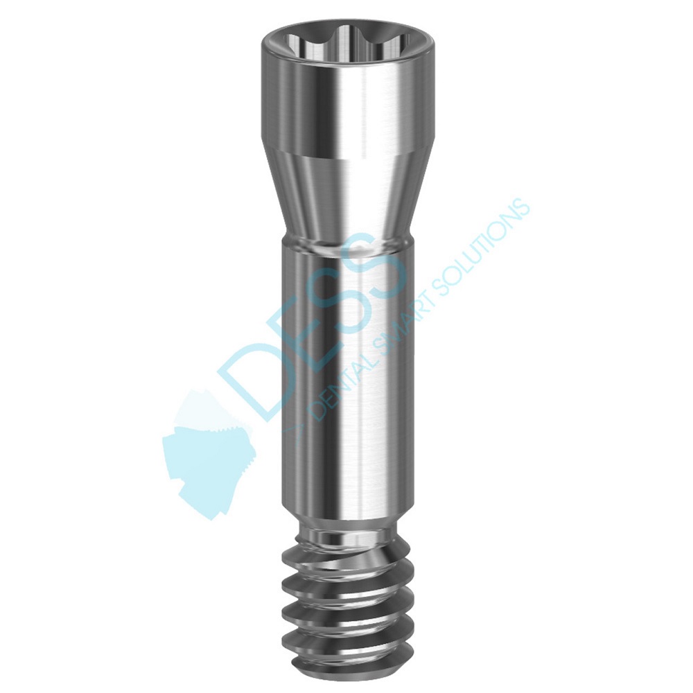 VIS TORX NC/RC                19 037-P10 DESS