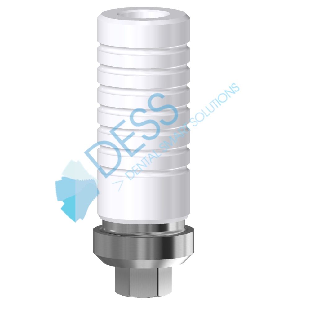 Cobalt Chrome Base Anti Rotation RP Incl Coiffe Hex Internal