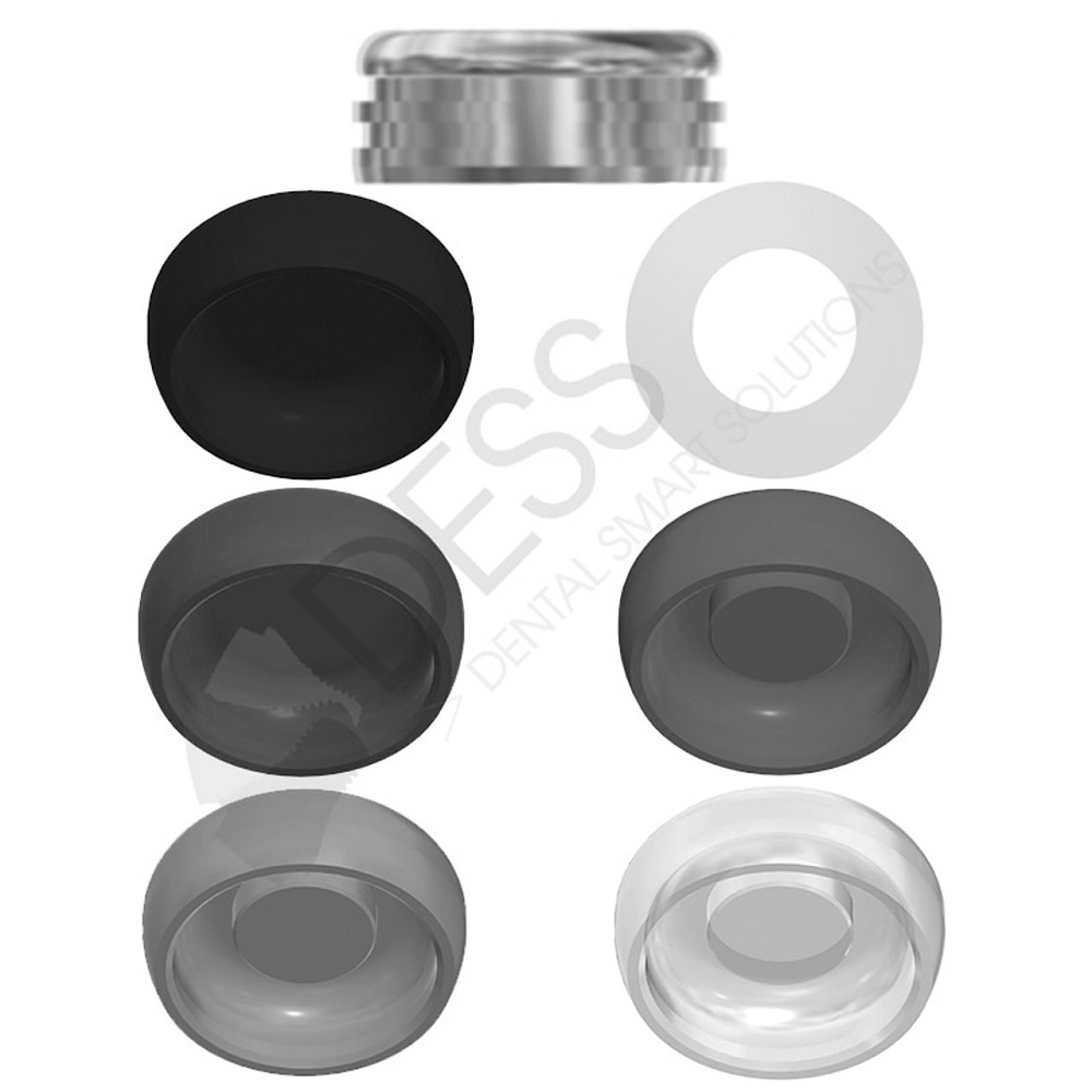 DESS LOC RETENTION KIT            DLRK-P2 DESS
