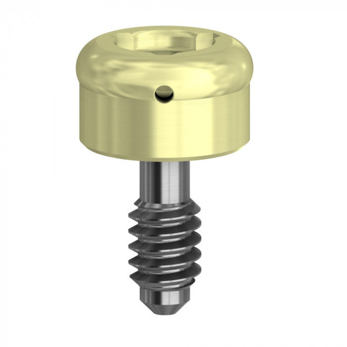 Pilier Dess Loc Rp 3mm Sur Implant Pilier Dess Loc Rp 3mm Sur Implant
