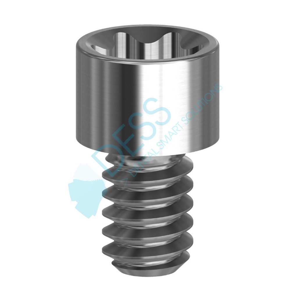 VIS TORX NP/RP SUR MULTI UNIT          19 306 DESS