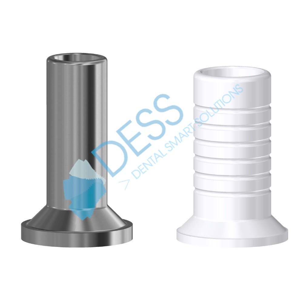 Interface Cobalt Chrome Anti Rotation Sur Implant WP