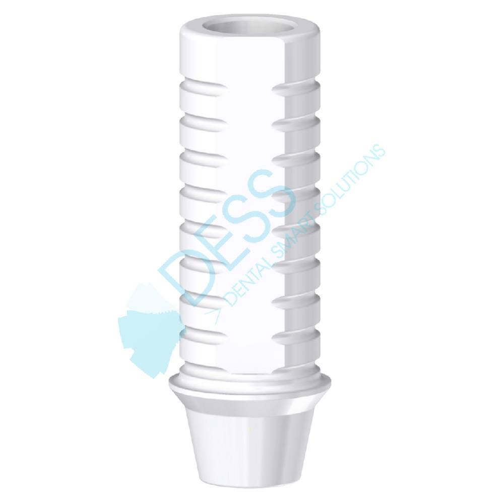 PILIER TEMPORAIRE EV4.2 NON-ENGAGE     28 060 DESS
