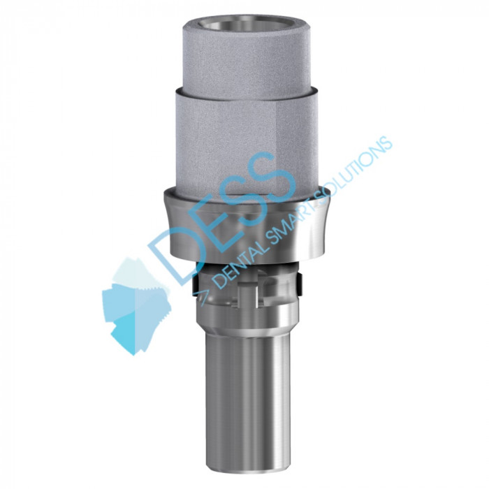 Interface TI Anti Rotation CAM Internal D3,8 HG1,5MM Interface TI Anti Rotation CAM Internal D3,8 HG1,5MM
