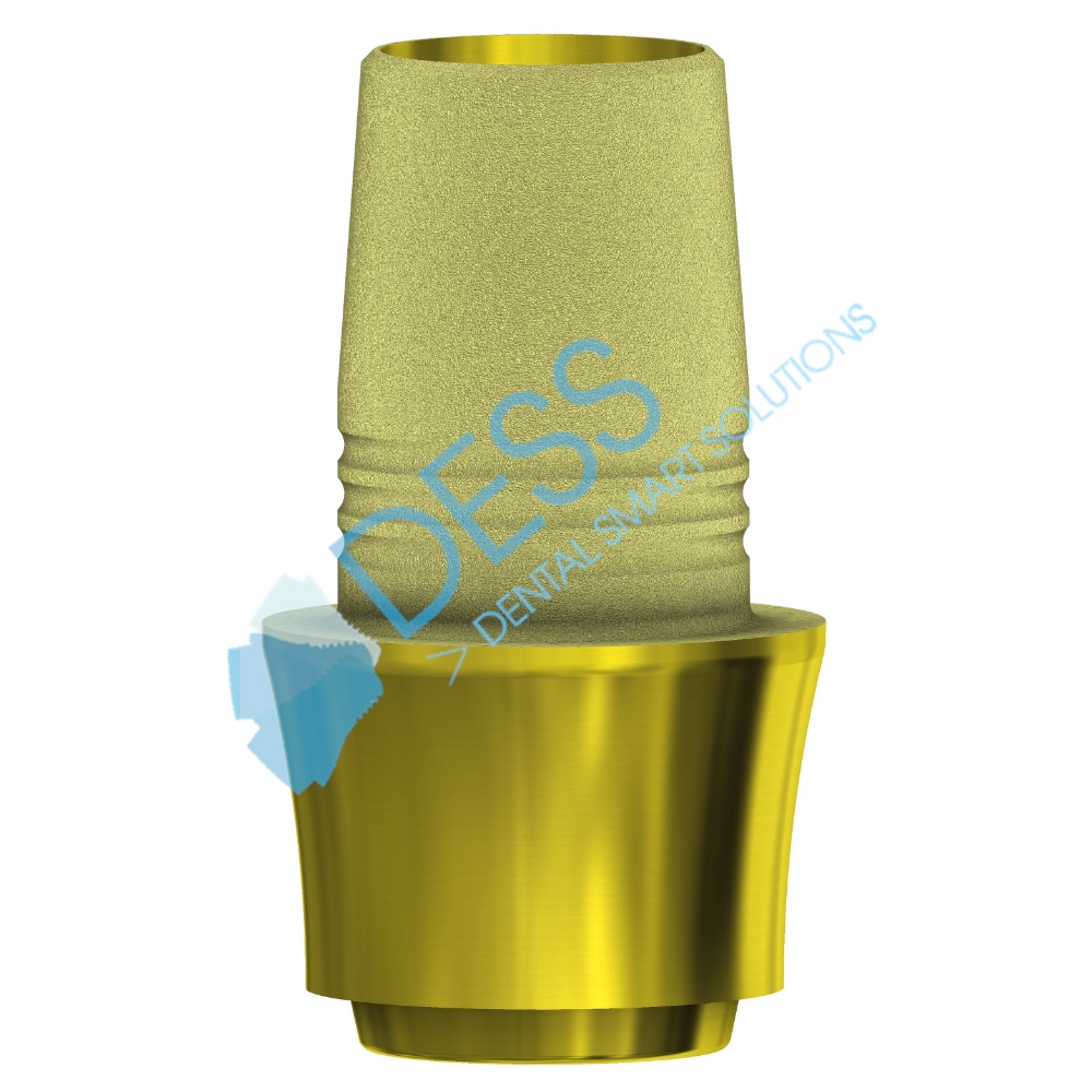 C Base Anti Rotation RP SR Imp 3MM Nobel Act Hex  