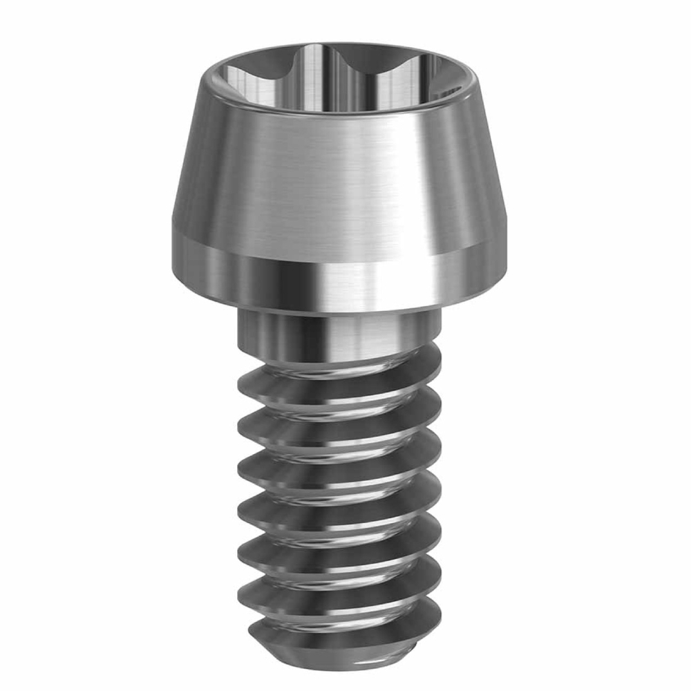 Pack de 10 vis Torx - 19.069-P10