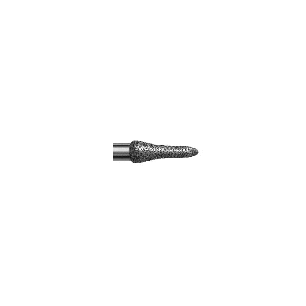 8369B - Fraise diamantée FG - 314 018 (5)