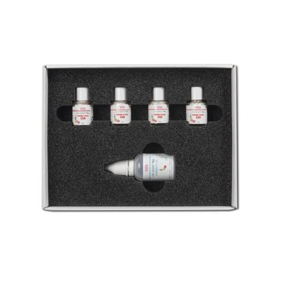 Vita Akzent Plus Chroma Stains Kit BAPKCSC