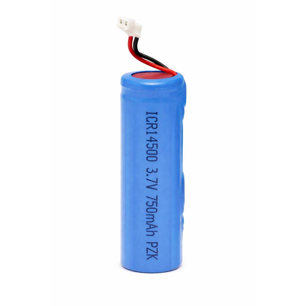 Batterie pour moteur Endomatic