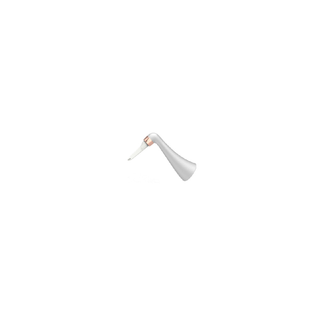 Embouts jetables pour PT-A/AP-H+ (10)