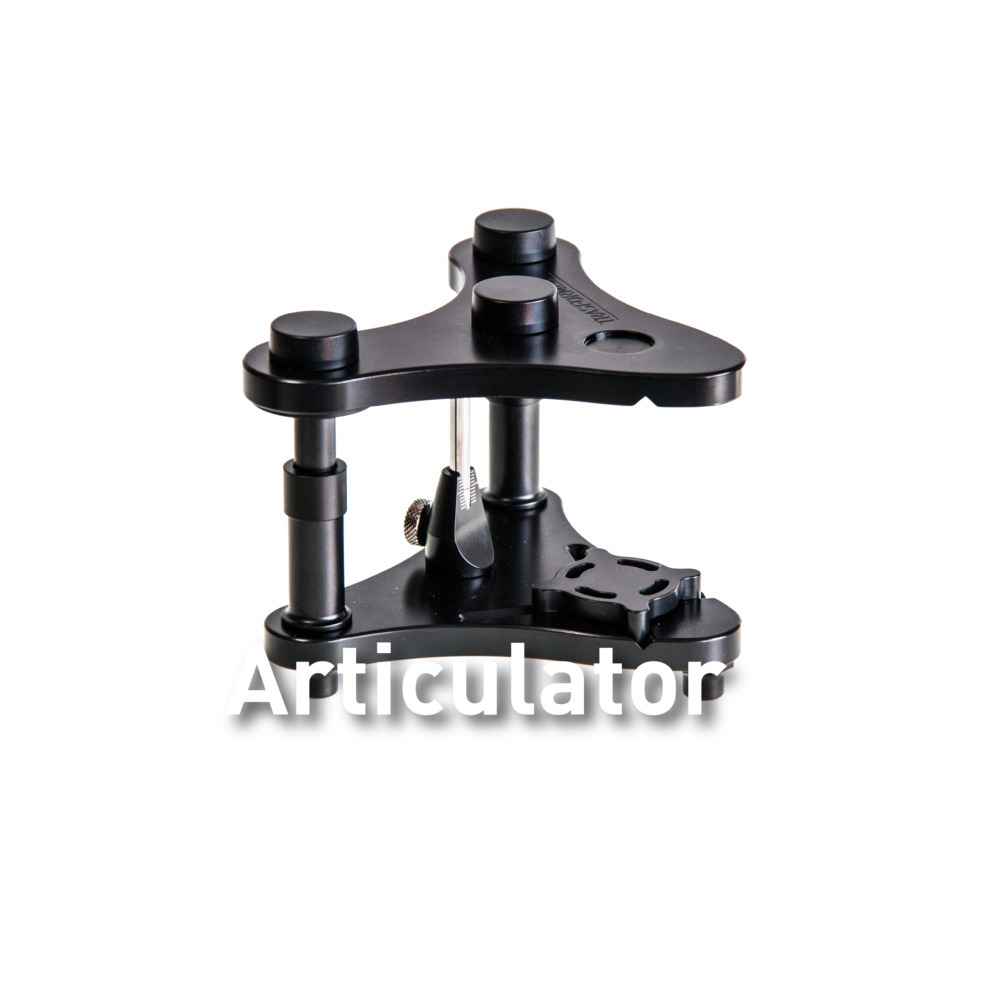 Articulateur