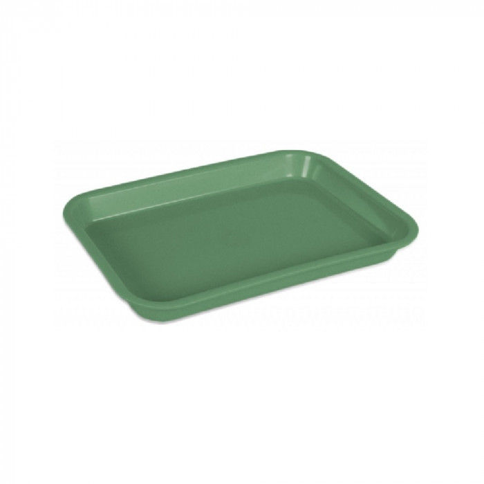 Mini-Plateau Couleur Verte Mini-Plateau Couleur Verte