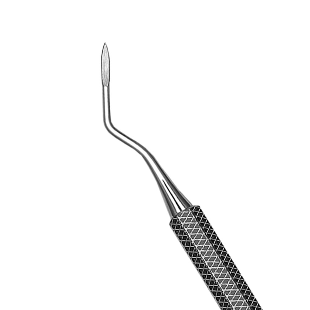 Elevateur Apical West EW5  