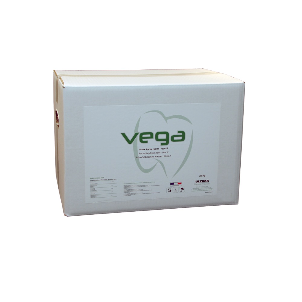 Plâtre Vega Mise En Articulateur Rapide  