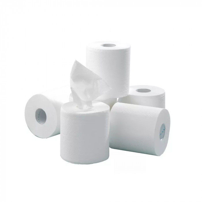 Bobine maxi ouate blanche 19 x 30 cm - colis de 6 rouleaux Bobine maxi ouate blanche 19 x 30 cm - colis de 6 rouleaux