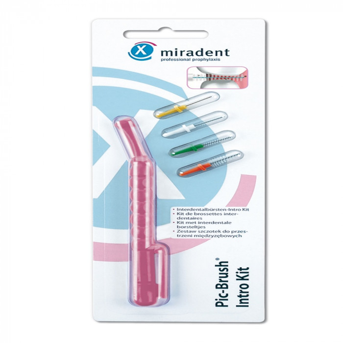 Kit Introduction Pic Brush Rose 630006 Kit Introduction Pic Brush Rose 630006