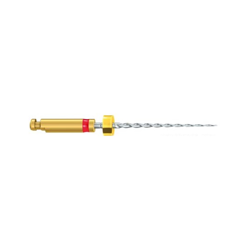 F04L21 - Limes endo SkyTaper - 204 025 (bte de 6)