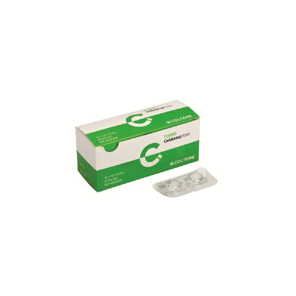 Eponge Gelatamp Forte (24)