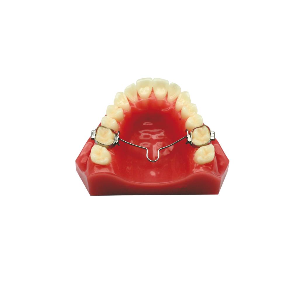 Arc transpalatin distal Goshgarian