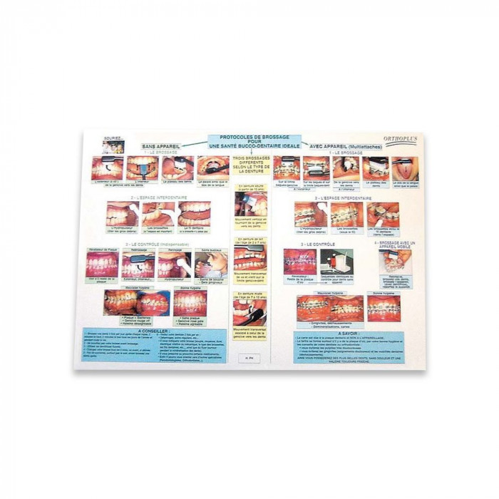POSTER HYGIENE SUR LE BROSSAGE POSTER HYGIENE SUR LE BROSSAGE