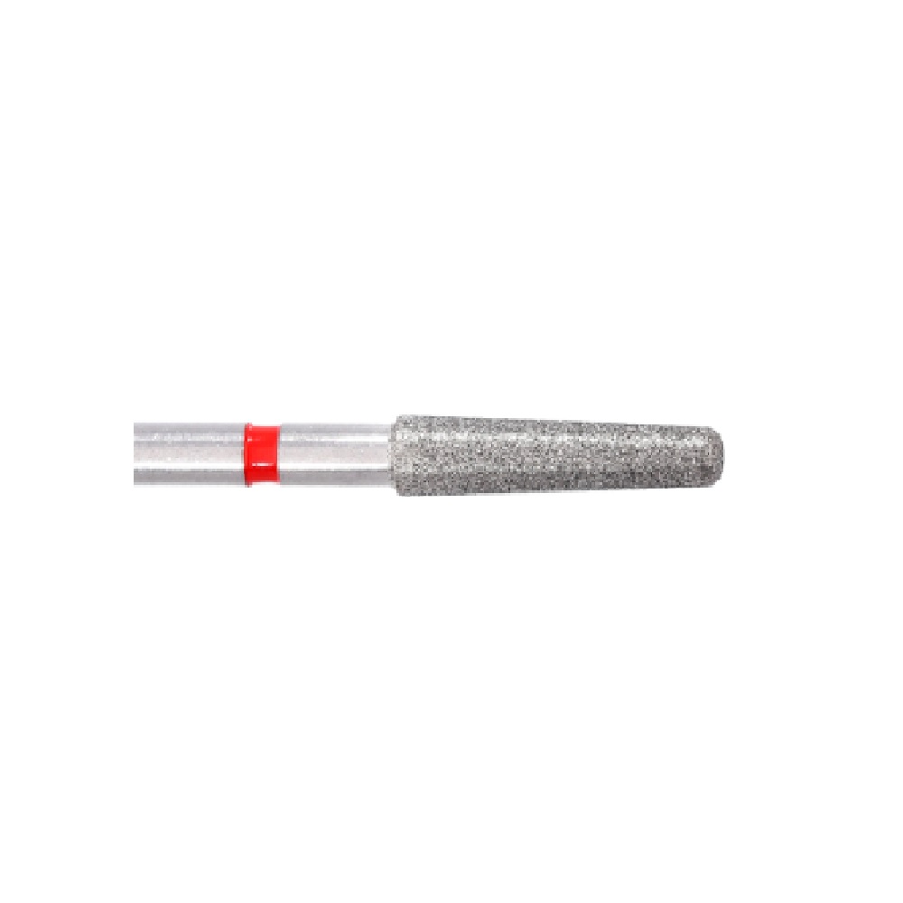 Fraises diamant 8951KR  314 024 (5)