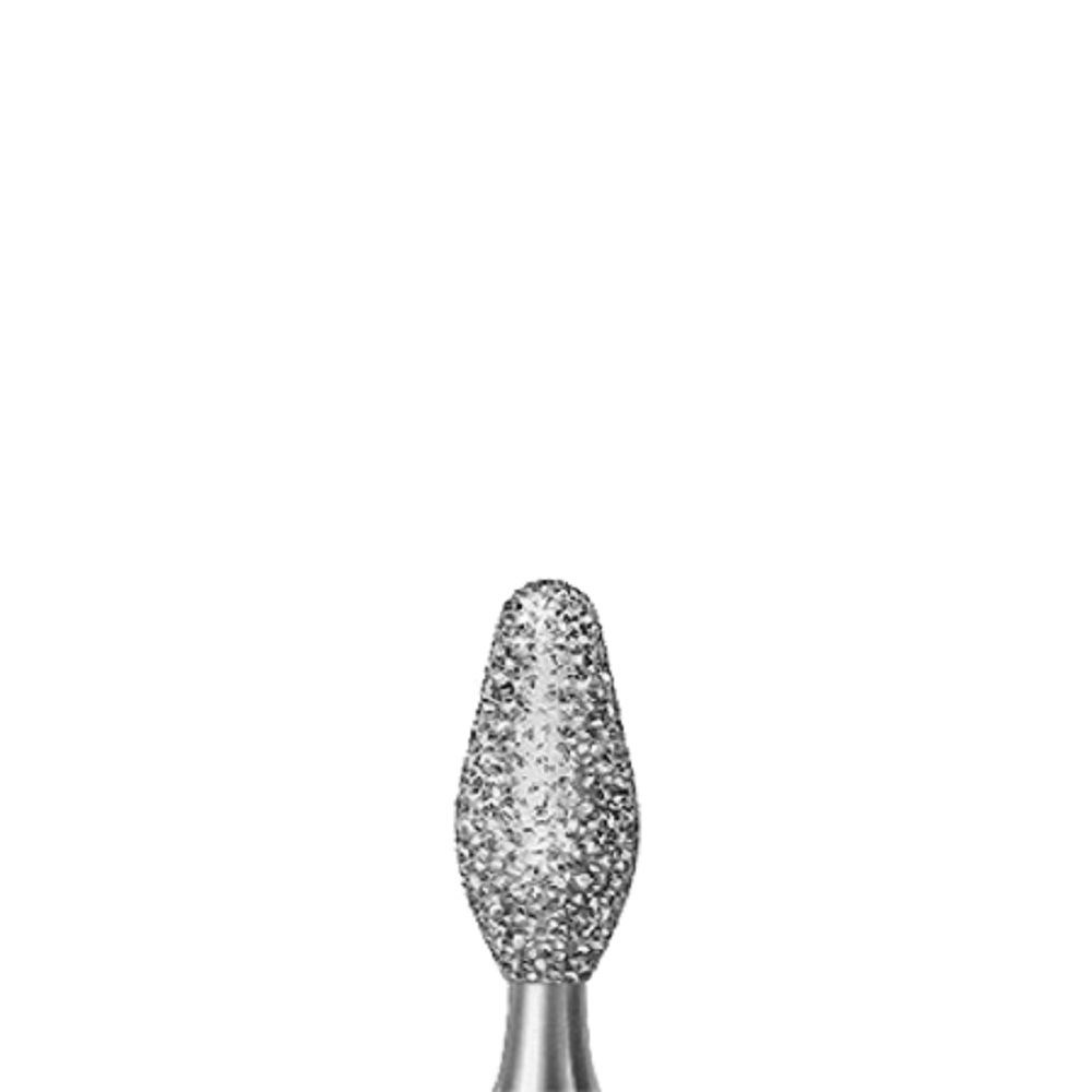 FRAISES DIAMANT 369 314 025  