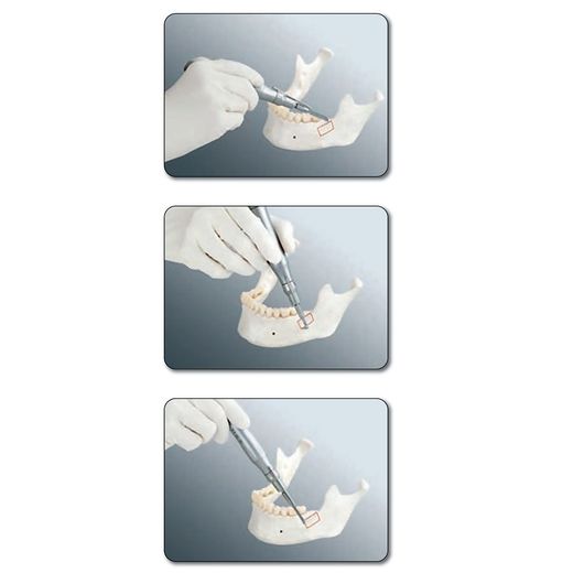 LAMES MICRO-SCIE - 