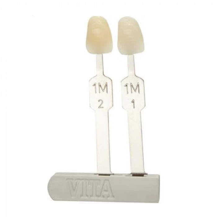 Guide dentaire 3D Master groupe de teintes 2M Guide dentaire 3D Master groupe de teintes 2M