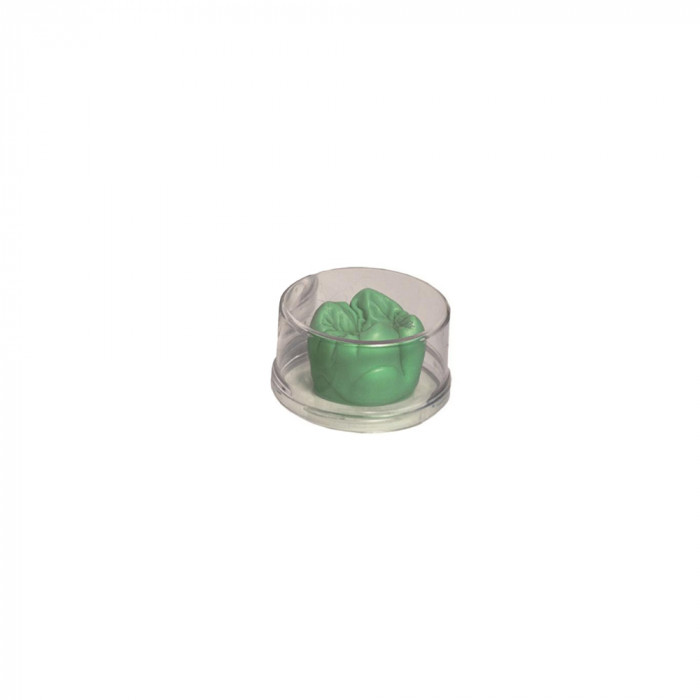 Tooth Cire A Sculpter Vert Opaque Tooth Cire A Sculpter Vert Opaque