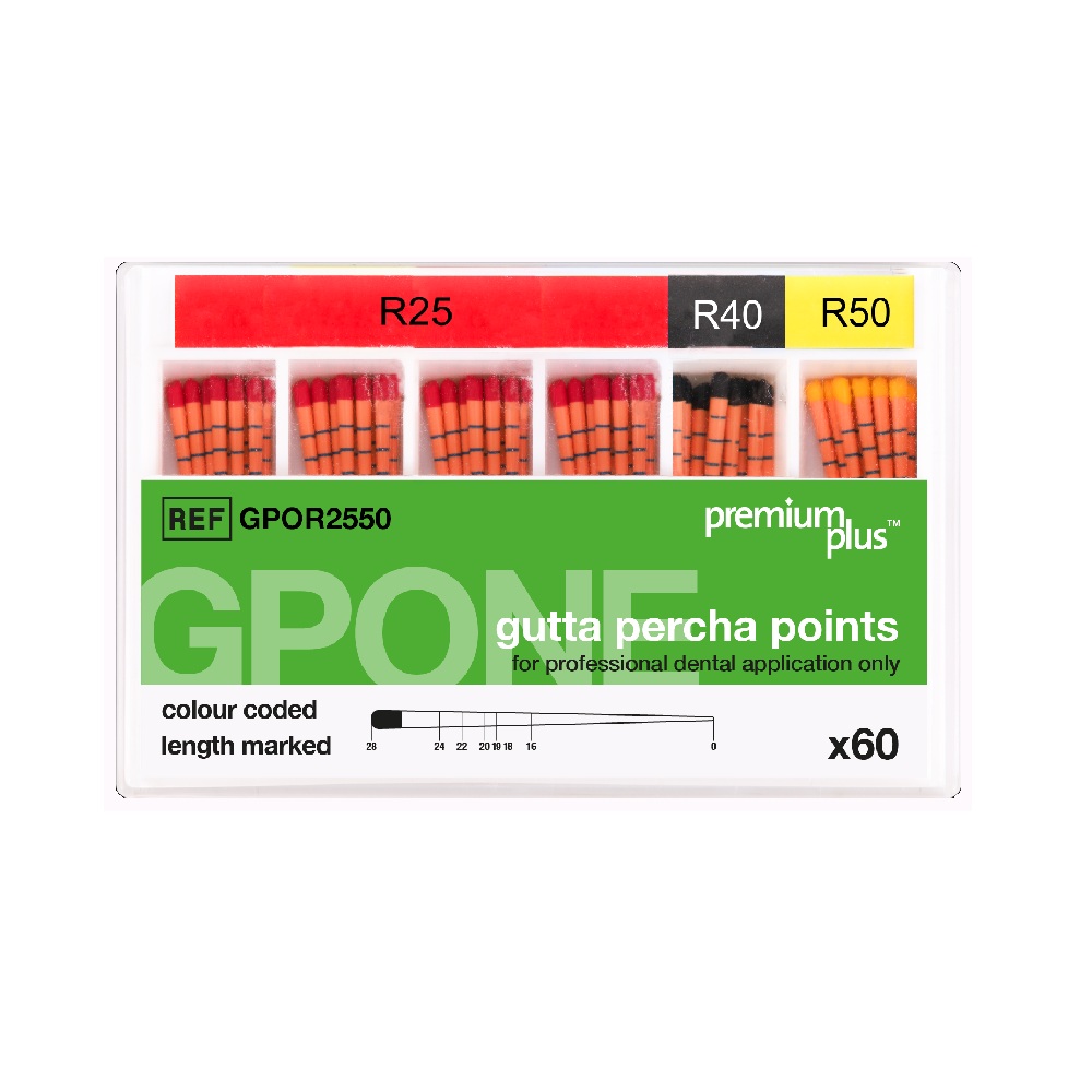 Pointes Gutta One - 60 pcs