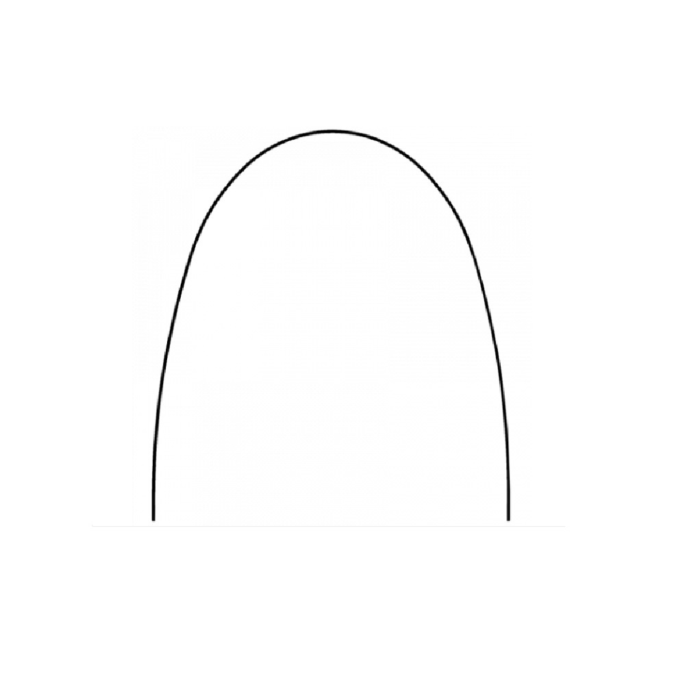 ARC NITI SUPER ELASTIC  016X022 SUP EURO  RECT OS
