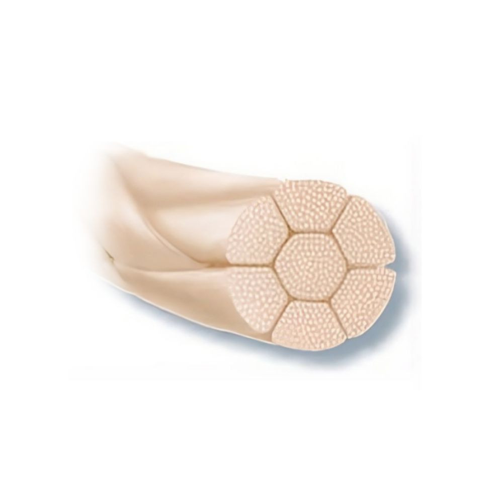 Suture PGA Rapid résorbable (12)