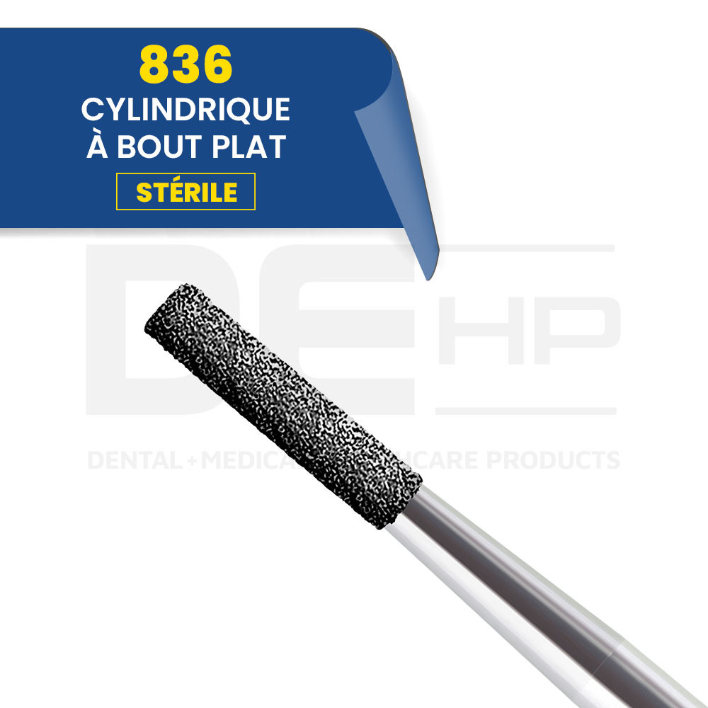 836 - Fraise diamantée cylindrique bout plat (bte de 25)