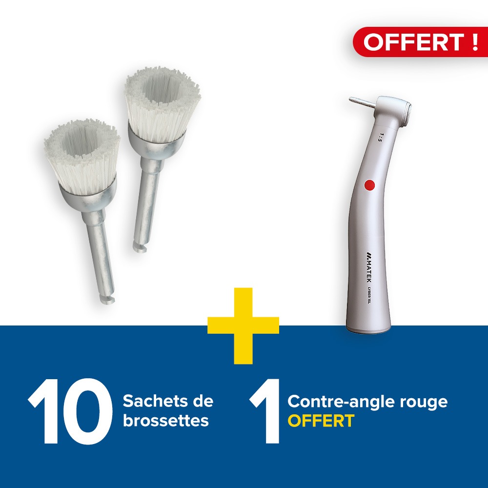 10 sachets de 50 brossettes + 1 contre-angle 1:5 rouge Lyber Premium offert