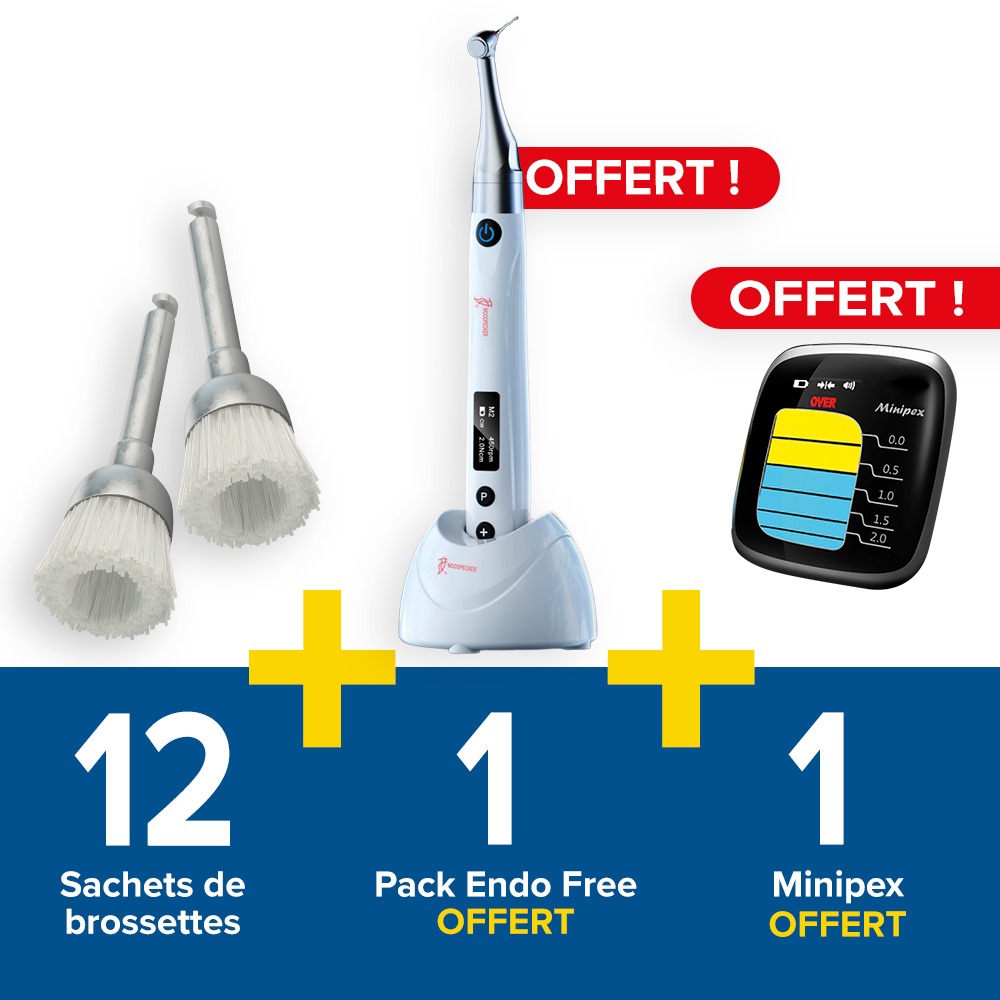 12 sachets de brossettes + 1 pack endo offert