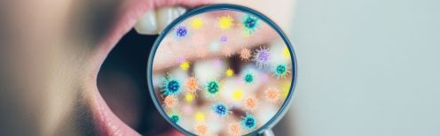Microbiote parodontal : rôle, implications et prévention des maladies buccales