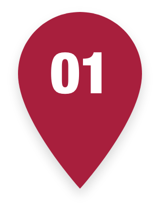 Pin 01